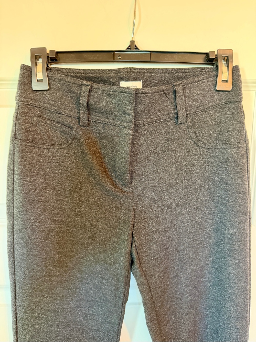 CACHE Women's Gray Knit Ponte Pants